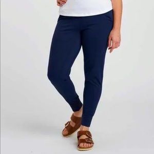 Universal standard Cooper jogger pants